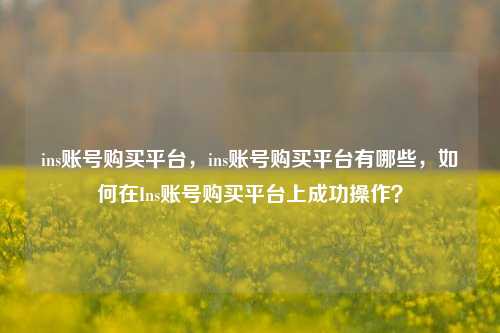 ins账号购买平台，ins账号购买平台有哪些，如何在Ins账号购买平台上成功操作？