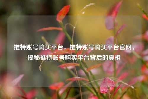 推特账号购买平台，推特账号购买平台官网，揭秘推特账号购买平台背后的真相