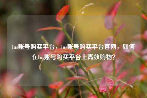 ins账号购买平台，ins账号购买平台官网，如何在Ins账号购买平台上高效购物？