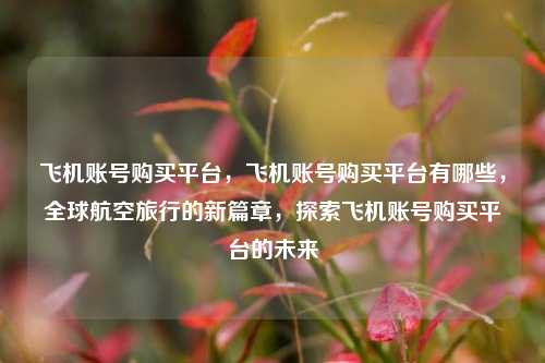 飞机账号购买平台，飞机账号购买平台有哪些，全球航空旅行的新篇章，探索飞机账号购买平台的未来