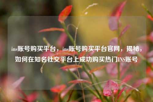ins账号购买平台，ins账号购买平台官网，揭秘，如何在知名社交平台上成功购买热门INS账号
