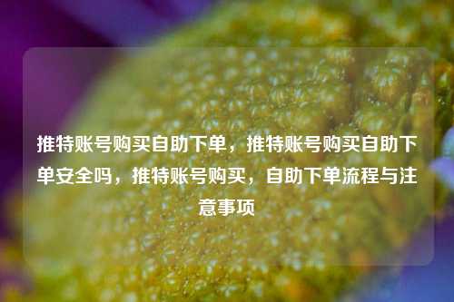 推特账号购买自助下单，推特账号购买自助下单安全吗，推特账号购买，自助下单流程与注意事项