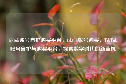tiktok账号自护购买平台，tiktok帐号购买，TikTok账号自护与购买平台，探索数字时代的新商机