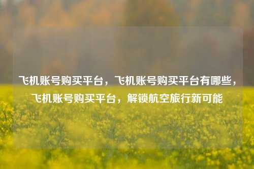 飞机账号购买平台，飞机账号购买平台有哪些，飞机账号购买平台，解锁航空旅行新可能