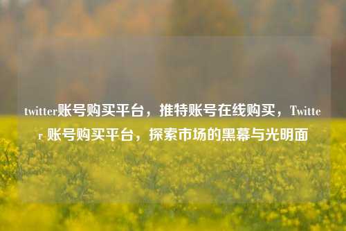 twitter账号购买平台，推特账号在线购买，Twitter 账号购买平台，探索市场的黑幕与光明面