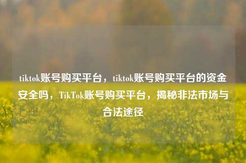 tiktok账号购买平台，tiktok账号购买平台的资金安全吗，TikTok账号购买平台，揭秘非法市场与合法途径