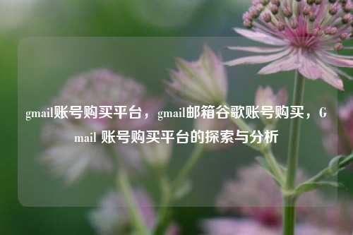 gmail账号购买平台	，gmail邮箱谷歌账号购买，Gmail 账号购买平台的探索与分析  第1张