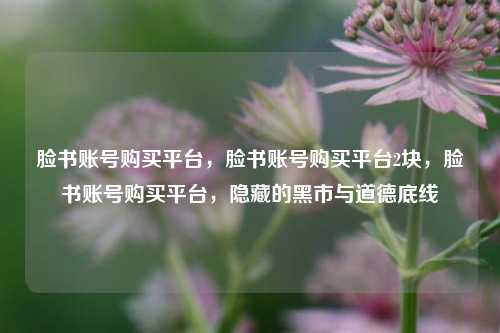 脸书账号购买平台，脸书账号购买平台2块，脸书账号购买平台，隐藏的黑市与道德底线