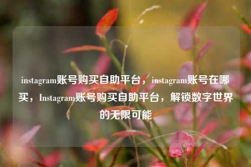instagram账号购买自助平台，instagram账号在哪买，Instagram账号购买自助平台，解锁数字世界的无限可能