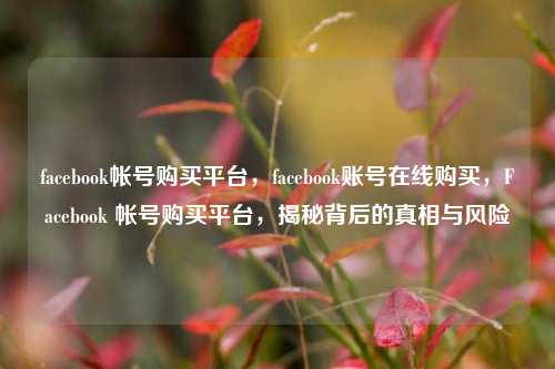 facebook帐号购买平台，facebook账号在线购买，Facebook 帐号购买平台，揭秘背后的真相与风险