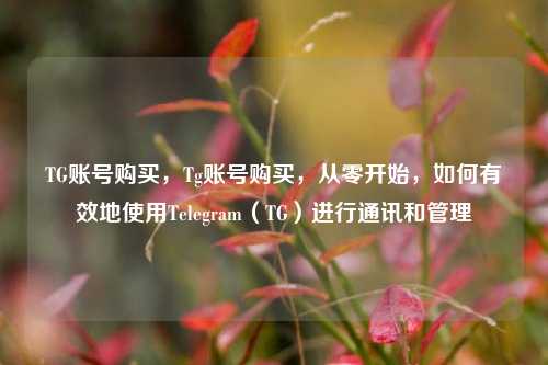 TG账号购买，Tg账号购买，从零开始，如何有效地使用Telegram（TG）进行通讯和管理