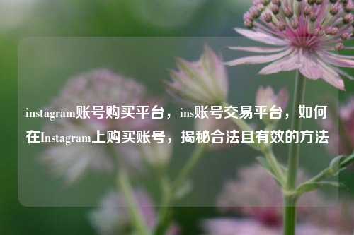 instagram账号购买平台，ins账号交易平台，如何在Instagram上购买账号，揭秘合法且有效的方法