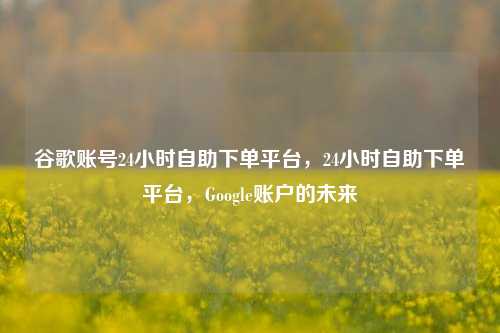 谷歌账号24小时自助下单平台，24小时自助下单平台，Google账户的未来