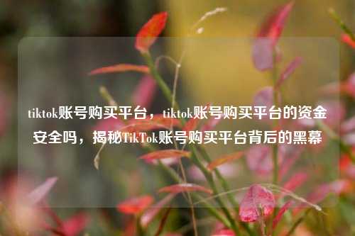 tiktok账号购买平台，tiktok账号购买平台的资金安全吗，揭秘TikTok账号购买平台背后的黑幕