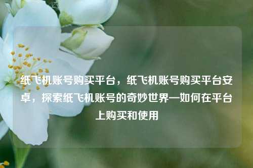纸飞机账号购买平台，纸飞机账号购买平台安卓，探索纸飞机账号的奇妙世界—如何在平台上购买和使用