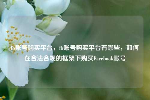 fb账号购买平台，fb账号购买平台有哪些，如何在合法合规的框架下购买Facebook账号