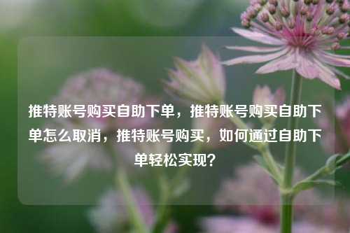推特账号购买自助下单，推特账号购买自助下单怎么取消，推特账号购买，如何通过自助下单轻松实现？