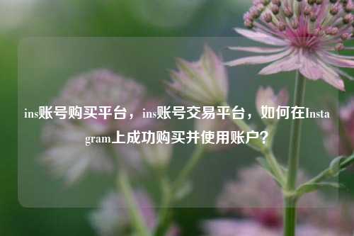 ins账号购买平台，ins账号交易平台，如何在Instagram上成功购买并使用账户？
