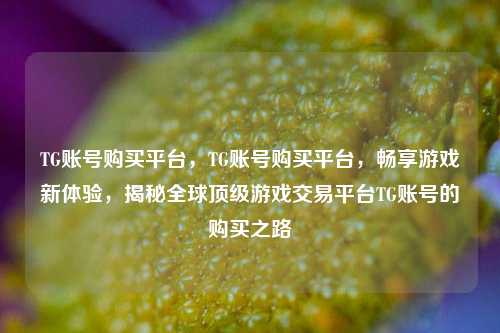 TG账号购买平台，TG账号购买平台，畅享游戏新体验，揭秘全球顶级游戏交易平台TG账号的购买之路