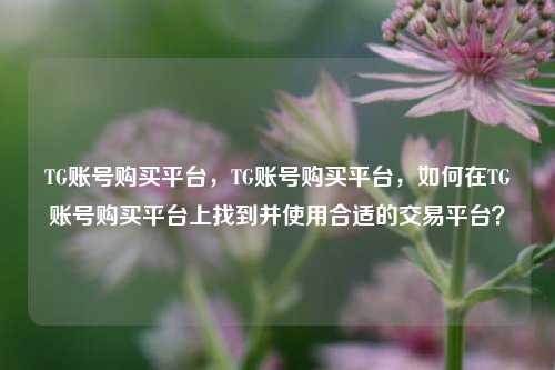 TG账号购买平台	，TG账号购买平台，如何在TG账号购买平台上找到并使用合适的交易平台？  第1张