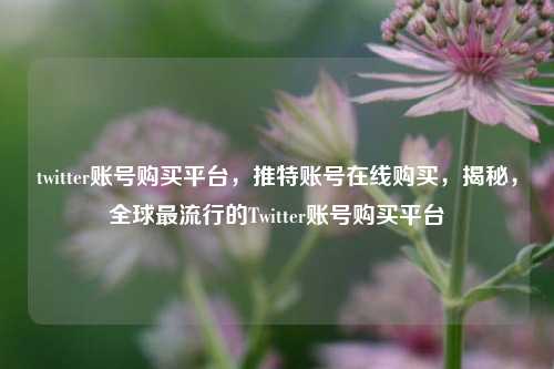 twitter账号购买平台	，推特账号在线购买，揭秘，全球最流行的Twitter账号购买平台  第1张