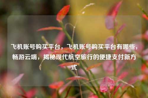 飞机账号购买平台，飞机账号购买平台有哪些，畅游云端，揭秘现代航空旅行的便捷支付新方式