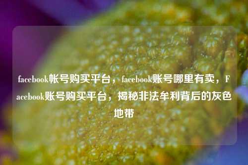 facebook帐号购买平台，facebook账号哪里有卖，Facebook账号购买平台，揭秘非法牟利背后的灰色地带