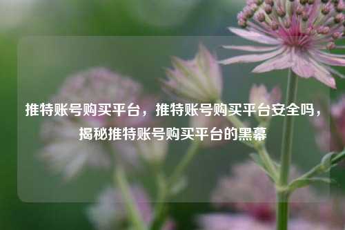 推特账号购买平台，推特账号购买平台安全吗，揭秘推特账号购买平台的黑幕