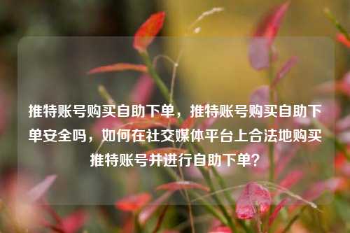 推特账号购买自助下单，推特账号购买自助下单安全吗，如何在社交媒体平台上合法地购买推特账号并进行自助下单？  第1张