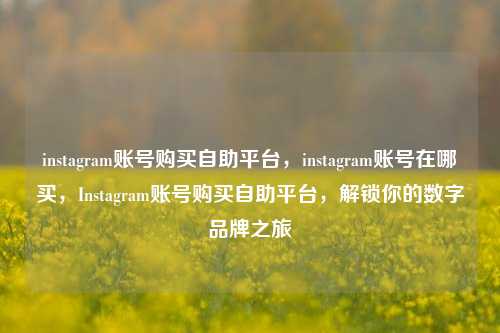 instagram账号购买自助平台，instagram账号在哪买，Instagram账号购买自助平台，解锁你的数字品牌之旅