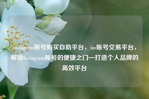 instagram账号购买自助平台，ins账号交易平台，解锁Instagram账号的便捷之门—打造个人品牌的高效平台