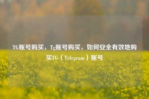 TG账号购买，Tg账号购买，如何安全有效地购买TG（Telegram）账号