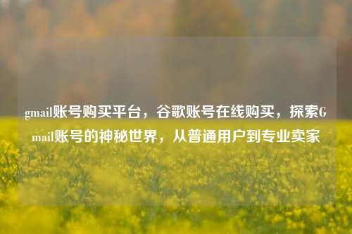 gmail账号购买平台，谷歌账号在线购买，探索Gmail账号的神秘世界，从普通用户到专业卖家
