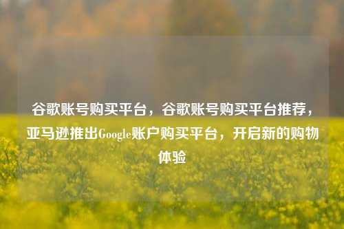 谷歌账号购买平台，谷歌账号购买平台推荐，亚马逊推出Google账户购买平台，开启新的购物体验