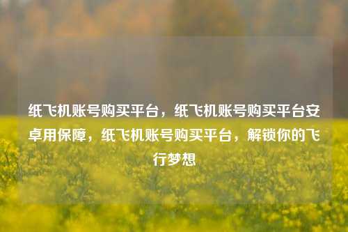 纸飞机账号购买平台，纸飞机账号购买平台安卓用保障，纸飞机账号购买平台，解锁你的飞行梦想