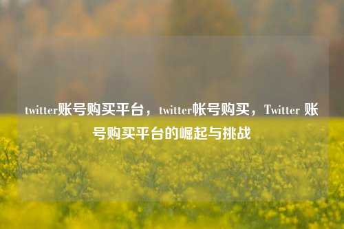twitter账号购买平台，twitter帐号购买，Twitter 账号购买平台的崛起与挑战