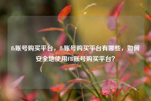 fb账号购买平台，fb账号购买平台有哪些，如何安全地使用FB账号购买平台？