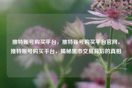 推特账号购买平台，推特账号购买平台官网，推特账号购买平台，揭秘黑市交易背后的真相  第1张