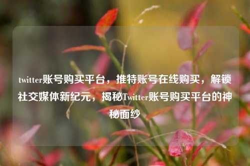 twitter账号购买平台，推特账号在线购买，解锁社交媒体新纪元，揭秘Twitter账号购买平台的神秘面纱
