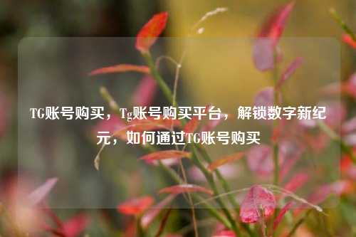 TG账号购买，Tg账号购买平台，解锁数字新纪元，如何通过TG账号购买