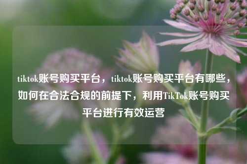 tiktok账号购买平台，tiktok账号购买平台有哪些，如何在合法合规的前提下，利用TikTok账号购买平台进行有效运营