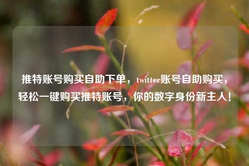 推特账号购买自助下单，twitter账号自助购买，轻松一键购买推特账号，你的数字身份新主人！