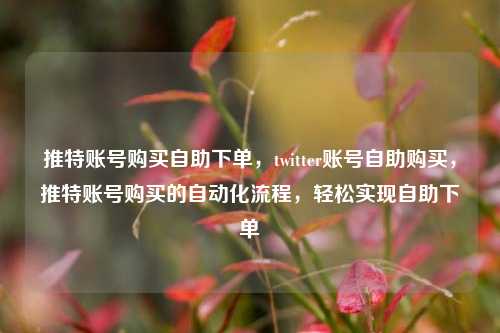 推特账号购买自助下单，twitter账号自助购买，推特账号购买的自动化流程，轻松实现自助下单