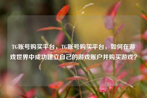 TG账号购买平台，TG账号购买平台，如何在游戏世界中成功建立自己的游戏账户并购买游戏？