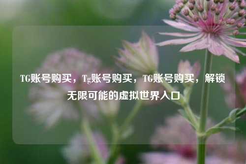 TG账号购买，Tg账号购买，TG账号购买，解锁无限可能的虚拟世界入口