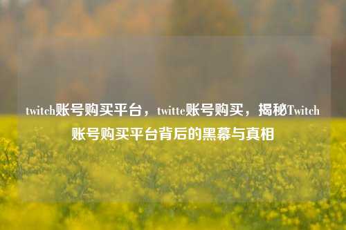 twitch账号购买平台，twitte账号购买，揭秘Twitch账号购买平台背后的黑幕与真相