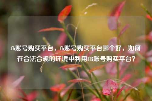 fb账号购买平台，fb账号购买平台哪个好，如何在合法合规的环境中利用FB账号购买平台？