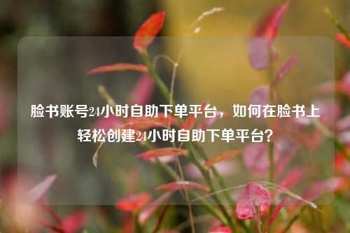 脸书账号24小时自助下单平台，如何在脸书上轻松创建24小时自助下单平台？