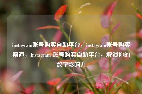instagram账号购买自助平台，instagram账号购买渠道，Instagram 账号购买自助平台，解锁你的数字影响力