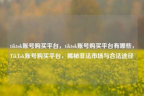 tiktok账号购买平台，tiktok账号购买平台有哪些，TikTok账号购买平台	，揭秘非法市场与合法途径  第1张